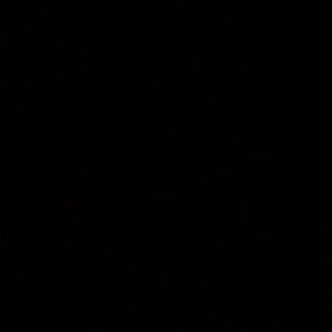 Meet your Posher, Miranda